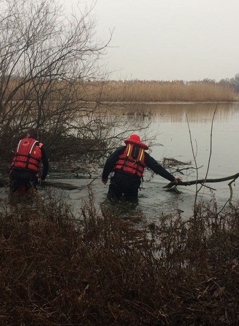 Pátranie po nezvestnej psíčkárke
