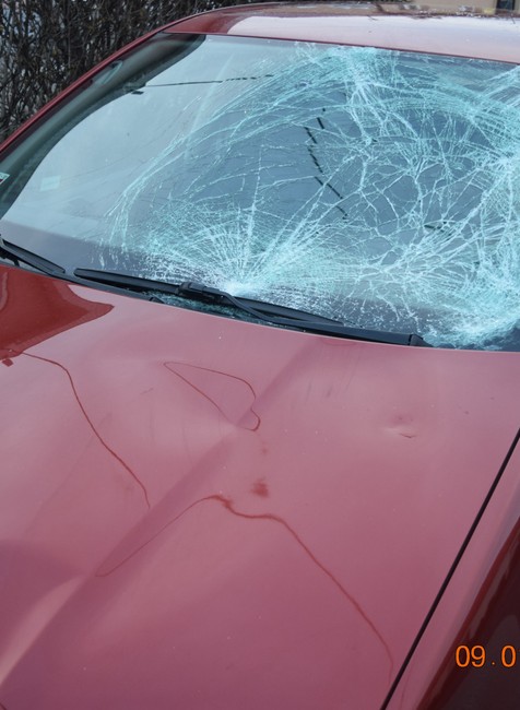 Šurany zrážka auto chodci 4