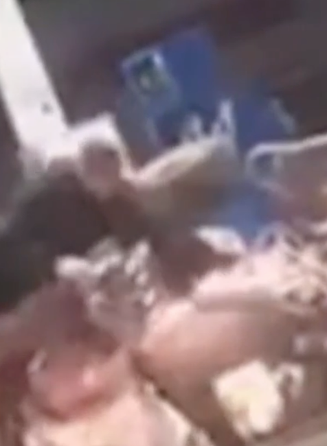 Českí policajti sa snažia chytiť vodiča štvorkolky