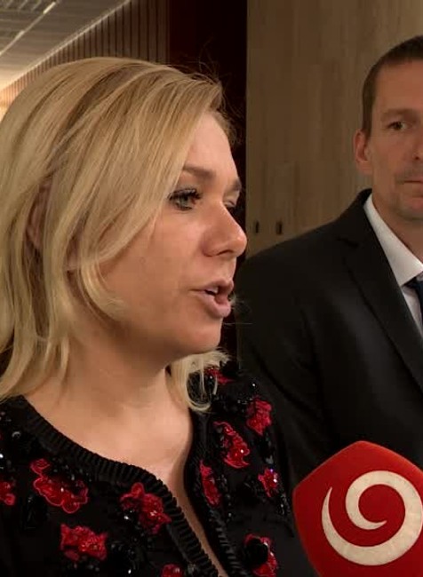 Saková o pokutách1176