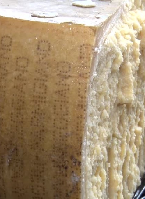 Nevídaný kontraband. Colníci zadržali takmer 1500 kilogramov syra