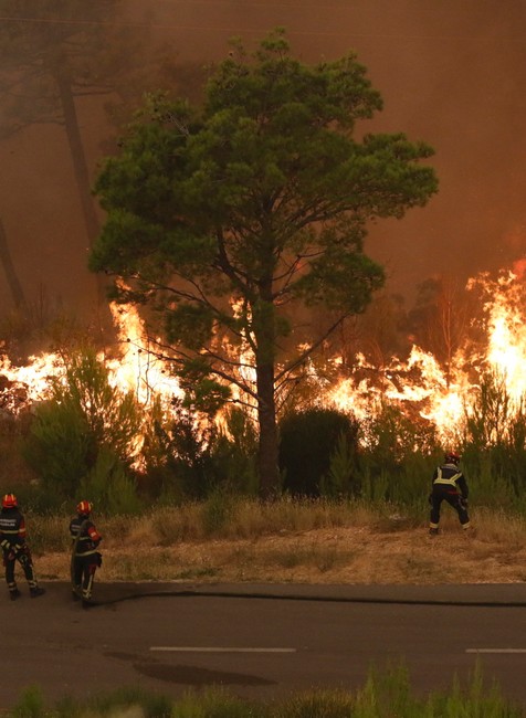 Croatia_Wildfires561826061472