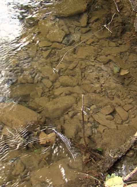 Vodohospodárov prekvapil desivý nález. Pri kontrole našli funkčné míny