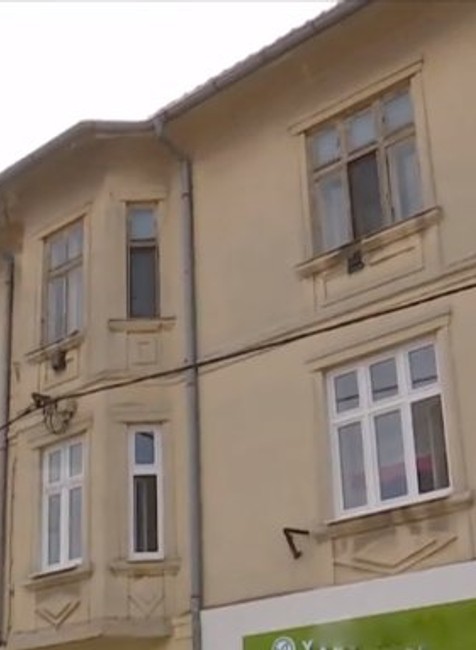 Polícia v Nových Zámkoch rieši výnimočný prípad. Ľudí ohrozujú holuby