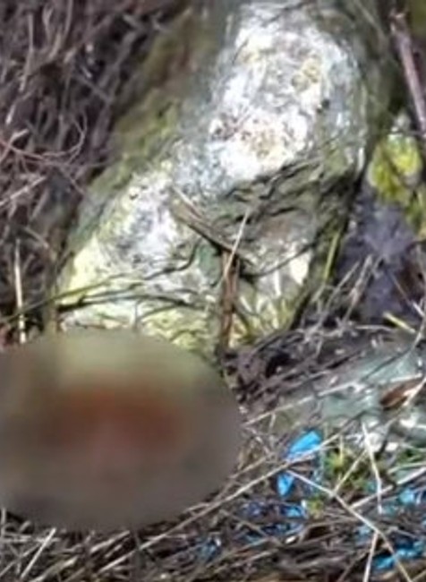 Napätie s rómskymi komunitami 