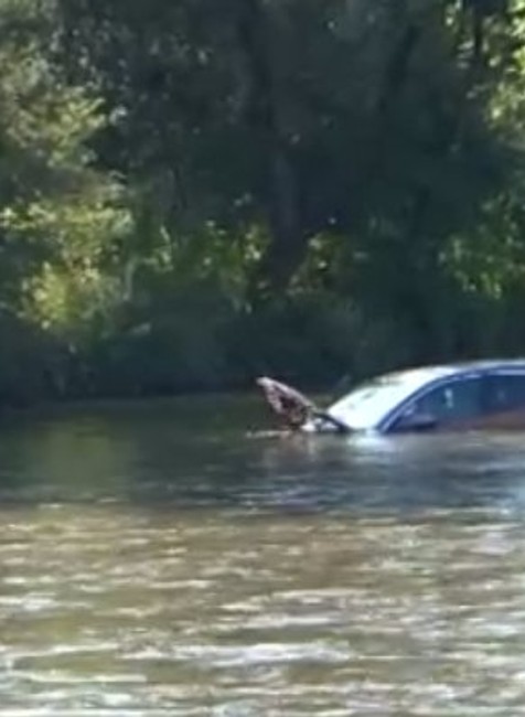 Auto po náraze skončilo vo Váhu. Vodičku unášal silný prúd, prežila len zázrakom