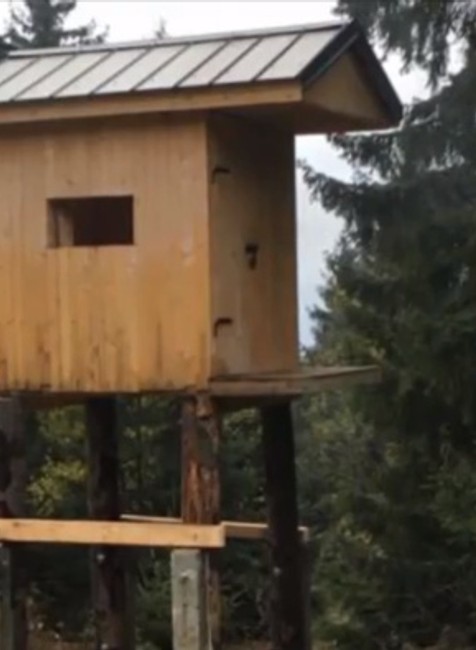 Viete kto zničil posedy? Poľovníci ponúkajú odmenu 1000 eur