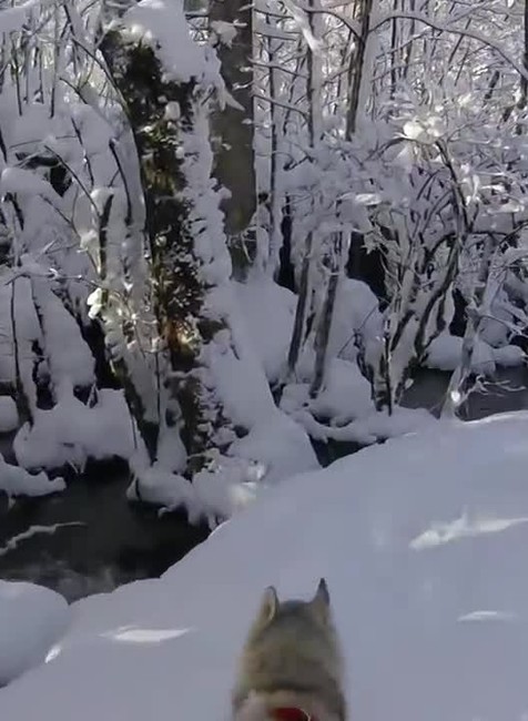 Plitvické jazerá v zime6173