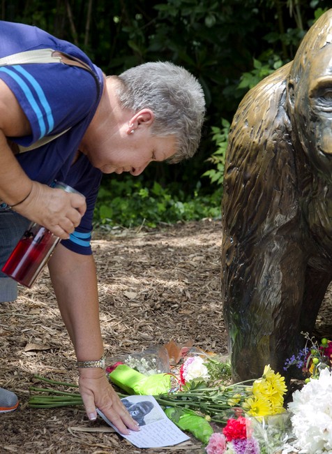 gorila Harambe