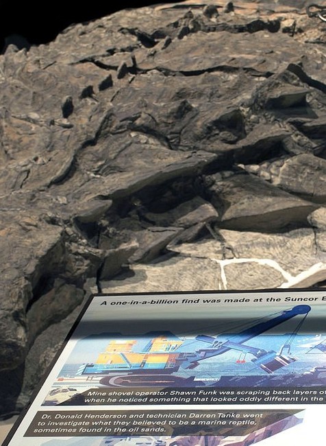nodosaurus