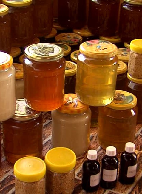 Včelári mali dobrú sezónu371