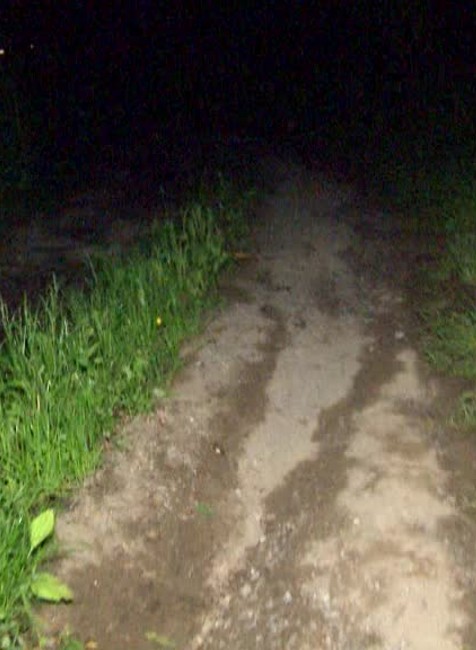 [multi] Zomrel pod traktorom 436