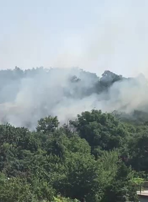 [multi] Bratislavská Koliba horí. Požiar zasiahol tri ulice 248