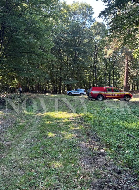 V lese našli obhorené ľudské telo