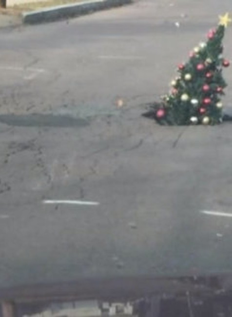 Z výtlku vyrástol stromček