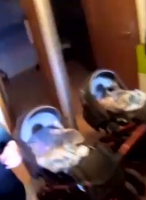 Policajná razia sa nevydarila. Kukláči vtrhli do bytu, našli tam však len vystrašenú rodinu