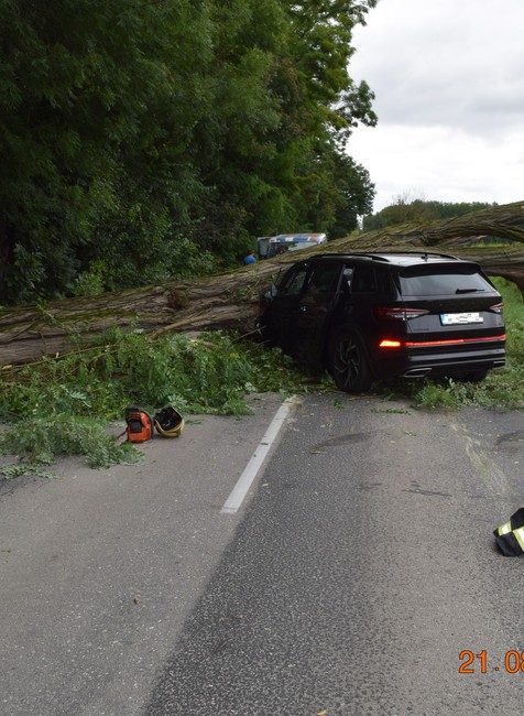 Na auto spadol počas jazdy strom