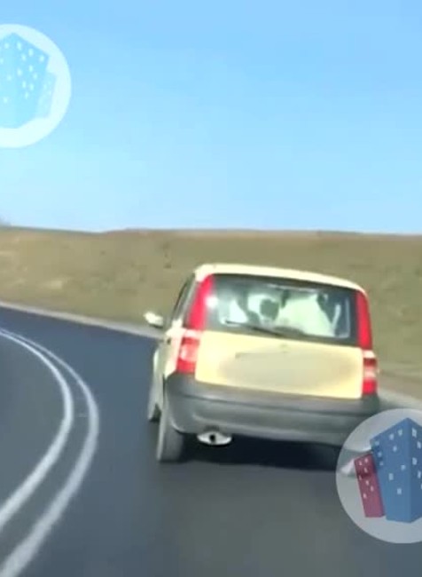 [multi] Keď sa malé auto tvári ako nákladiak, môžu v ňom prevážať aj kravu 3591