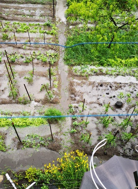 Obec Utekáč po krupobití