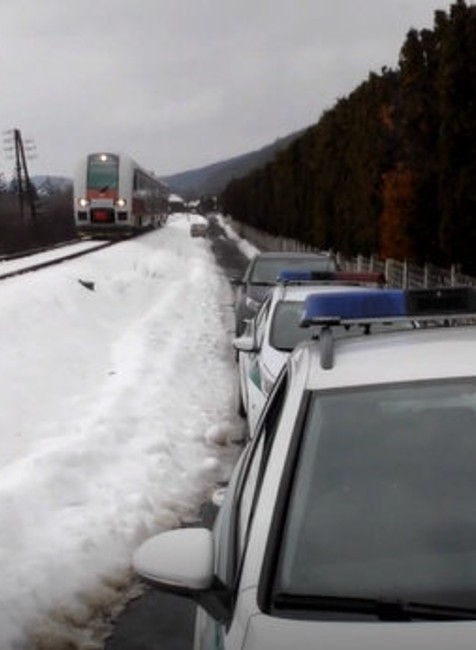 Hrozivý nález na koľajniciach. Partia chlapcov tu našla ležať srnca bez hlavy
