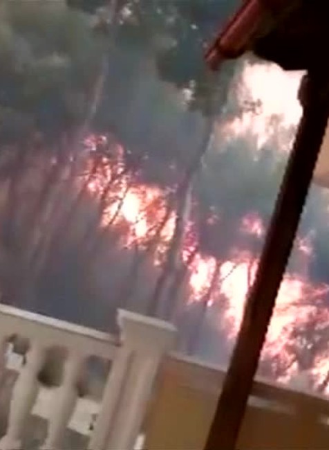 Grécko požiare2370