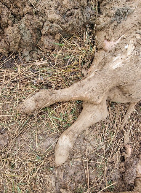 WhatsApp Image 2023-03-07 at 10.18.04 (2)