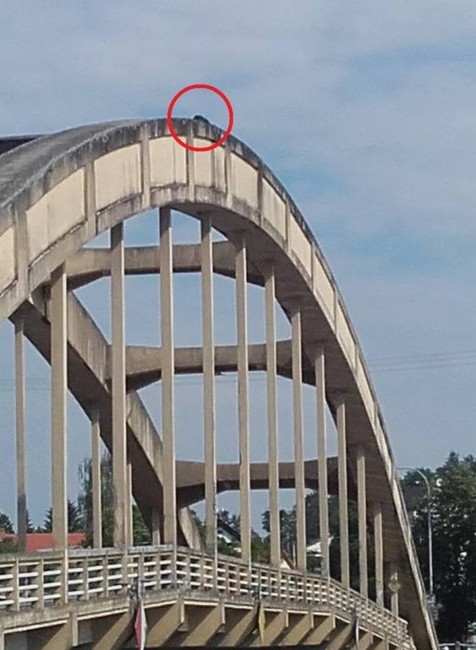 Muž na moste.jpg