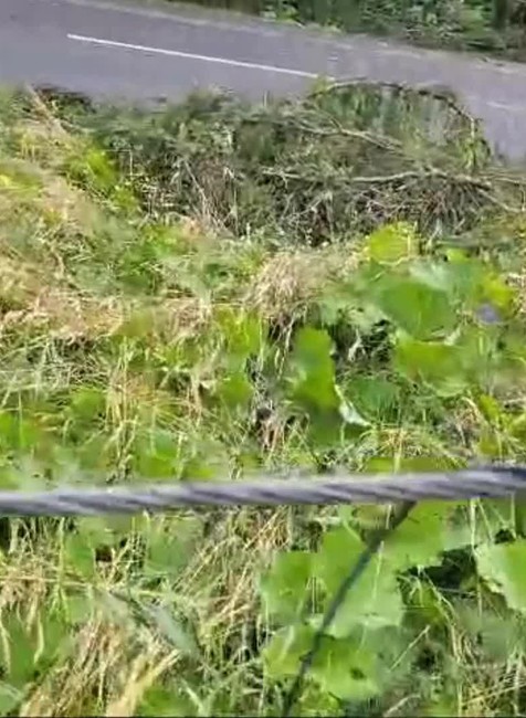 [multi] Kysuce Kalamita 7325