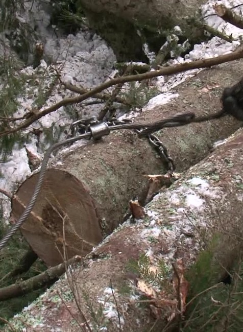 Na Orave po víchrici padli celé lesy. Ostali len holé kopce