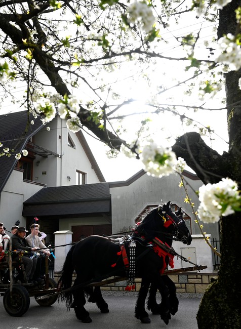 20240401_TEP01_RS24525031493