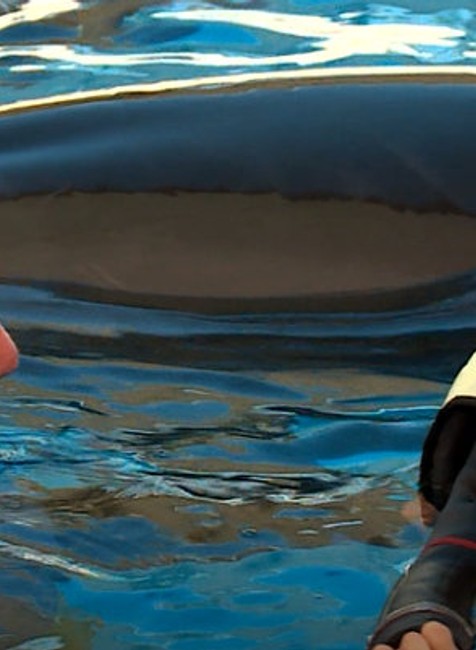 Príbeh Majka, ktorý trpí autizmom: V boji s chorobou mu pomáha šťastie