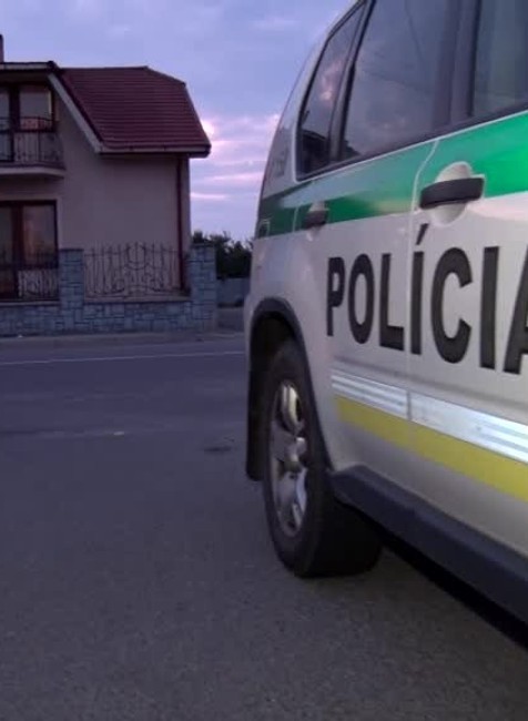 Bodnutie druha2965