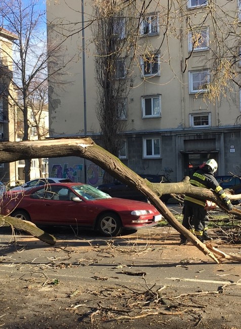 FOTO: Pod náporom vetra padol strom. Poškodené sú viaceré autá