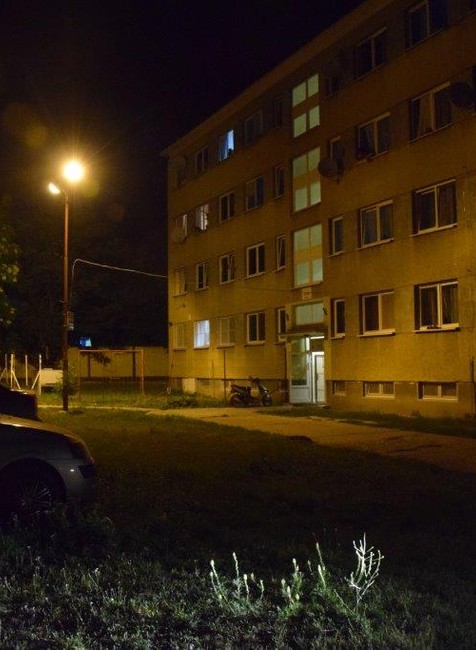 Brutálny čin v ubytovni: Šteňa vyhodili z 15- metrovej výšky, pád neprežilo