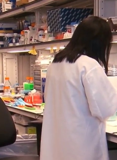 Hrozí nám pandémia rakoviny?