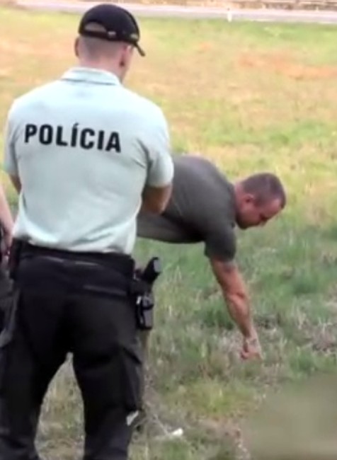 Streľba pri frekventovanej ceste. Na svedomí ju majú zrejme pytliaci