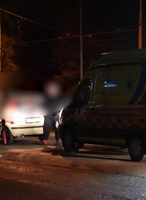 mladik zrazil muza so psom