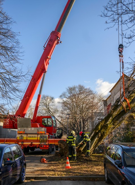 Bratislava škody strom vietor vichrica (1)
