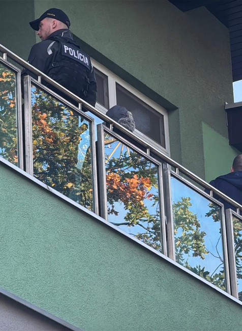 mrtve dieta v pracke