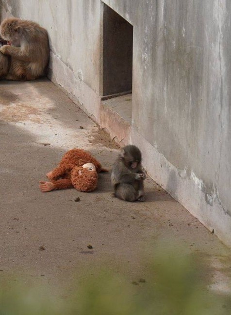Makak a plyšák
