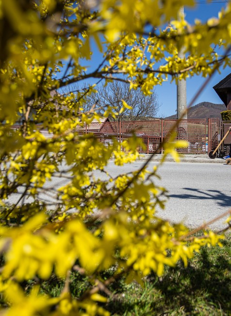 2026_04_03_rapkanie_zbynov_velka_noc_01205867