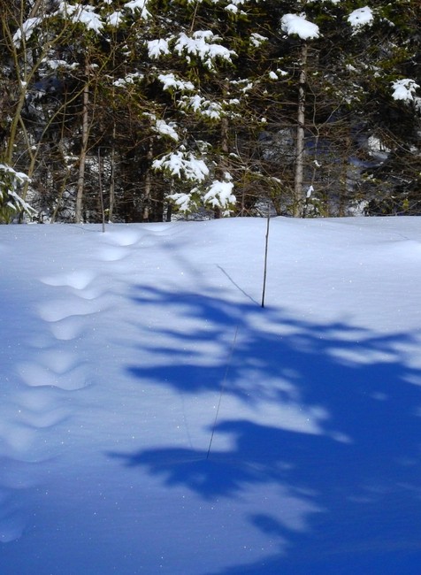 Zasnežená krajinka v Tatrách