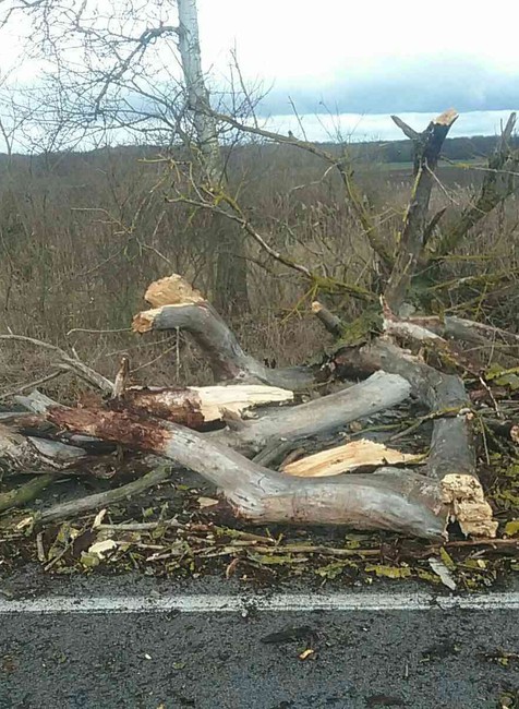 Popadané stromy, či povodne. Na Slovensku vyčíňa počasie