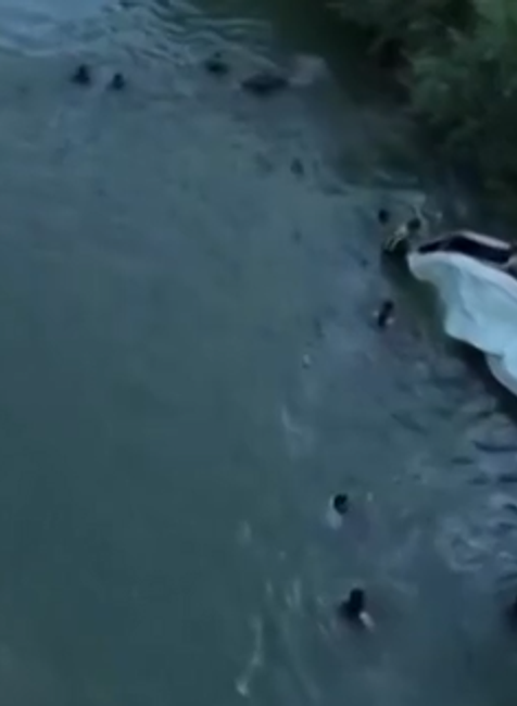 školský autobus v rieke