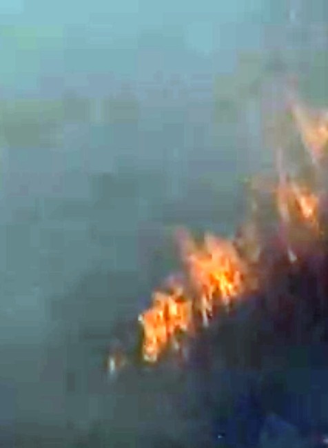 Požiar v Chorvátsku