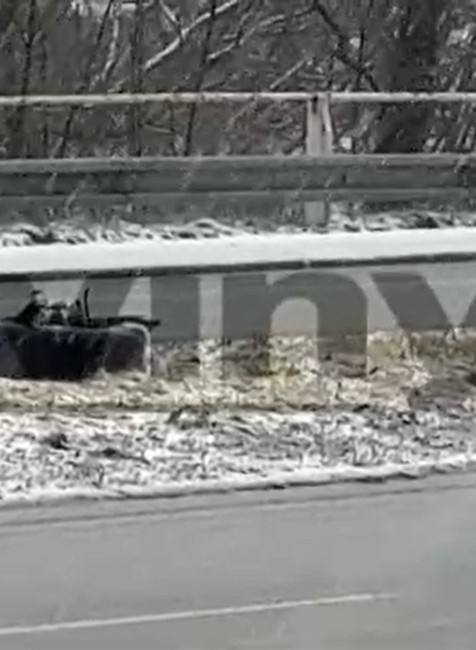 Havarovalo vládne vozidlo