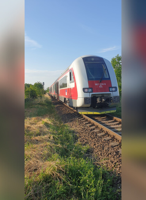 nehoda vlak autobus (3)