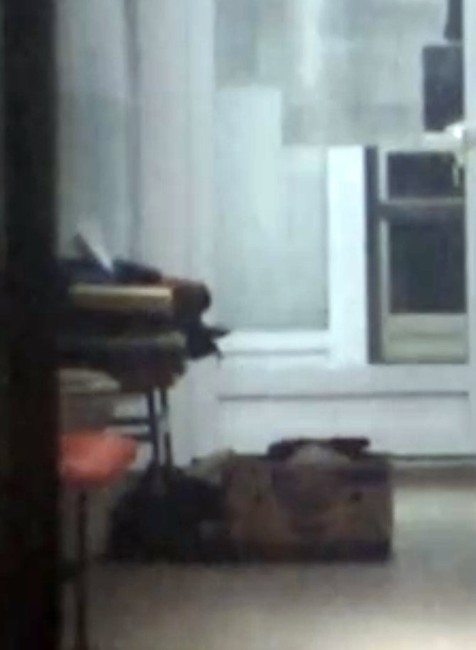 Povyskakovali z kamióna a dali sa na útek. Polícia zadržala 6 migrantov