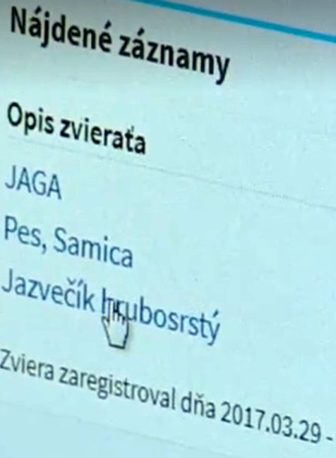 Detektívka pri hľadaní majiteľa psíkov. Ukázali sa chyby v čipovaní
