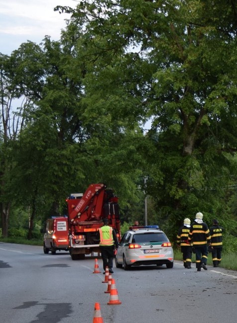 muž narazil do stromu